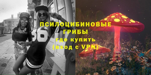 трава Магас