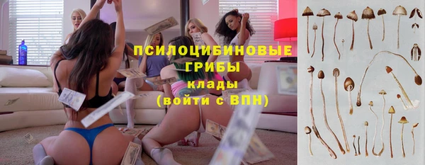 mdpv Майский